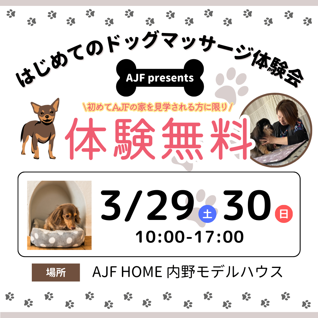 AJF presents ドッグマッサージ体験会🐶 | 漆喰・W断熱の高性能注文